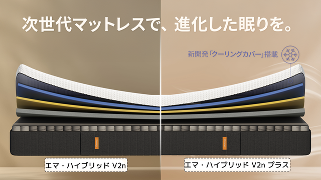 エマ・ハイブリッド V2n プラス