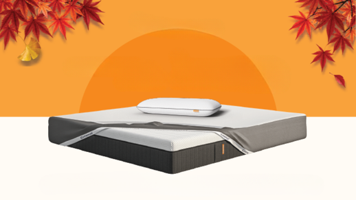 //www.emma-sleep.co.jp/cdn/shop/files/Usual_Assets_REVAMP_1321_x_300_px_9_accf8232-3072-4a61-9b4a-c7e3247044d7.png?crop=center&height=528&v=1792390918&width=400